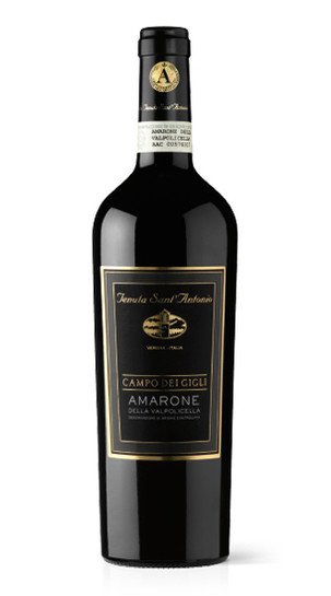 Amarone 'Campo dei Gigli' Tenuta Sant'Antonio 2011